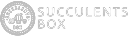 Succulents Box